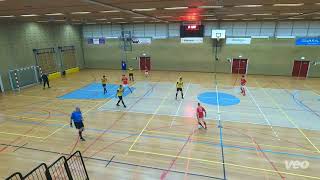 Samenvatting Excelsior31 2  ZVV Homar 1 Hoofdklasse G 17102024 [upl. by Leahey]