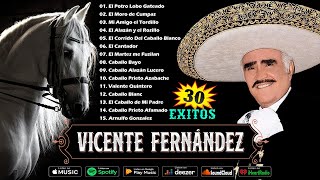 🔥 MIX VICENTE FERNANDEZ 🔥 CORRIDOS DE CABALLOS 🐴 30 EXITOS MEJORES CANCIONES MIX 🔥 [upl. by Ladonna]