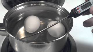 How to Pasteurize Eggs at home [upl. by Toddy]