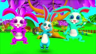 The Bunny Song  Kindergarten Nursery Rhyme amp Song for Kids [upl. by Tilford]