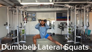 Dumbbell Lateral Squats [upl. by Atelokin]