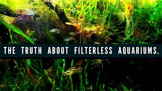 Creating A FILTERLESS AQUARIUM Using Anoxic AND Aerobic Bacteria How to Setup A Natural Fish Tank [upl. by Clova]