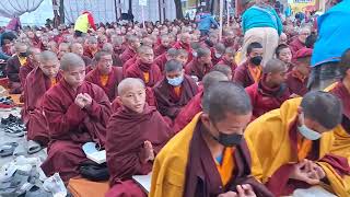 HE Khen Sange Rangjung Rinpoche participate 14th Nyingma Monlam in nepal 2322023 [upl. by Oiramad883]