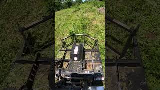 HEAVY DUTY Skid Steer BRUSH CUTTER IN ACTION [upl. by Norah]