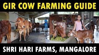 Gir Cow Farming Complete Guide  Shri Hari Dairy Farm Mangalore [upl. by Hoagland994]