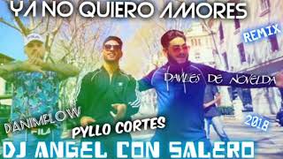 PYLLO CORTES X DAVILES DE NOVELDA X DANI MFLOW YA NO QUIERO AMORES REMIX DJ ANGEL CON SALERO [upl. by Acemaj]