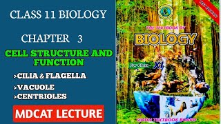 CENTRIOLES  STRUCTURE OF CENTRIOLE  CLASS 11 NEW SINDH BIOLOGY MDCAT [upl. by Ellesirg190]