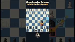 From Novice to Pro How I Crushed Opponents with Scandinavian Defense Chess [upl. by Asel]