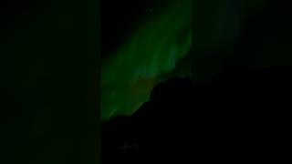 Aurora Boreal en Tromsø Noruega shorts shortvideo [upl. by Atenek]