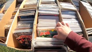 BEST FLEA MARKET STORMVILLE NY  COMIC BOOKS TOYS AND VINTAGE COLLECTIBLES [upl. by Nove]