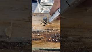 Precision at its finest construction framing hardwork trending asmr [upl. by Ahtikal888]