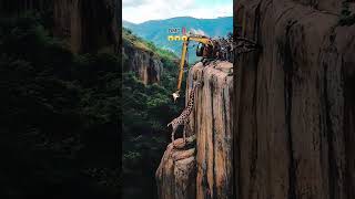 A giraffe on the cliff rescued 😱😱😱 AI generated vid animals rescue viralvideo [upl. by Niles]