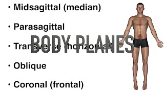 Body Planes  Quiz [upl. by Roose260]