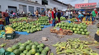 ESSA É UMA DAS MELHORES FEIRAS DO NORDESTE QUE NOS SURPRIENDE COM A QUANTIDADE DE MERCADORIA [upl. by Inattirb]