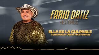 Ella Es La Culpable  Farid Ortiz Visualizer [upl. by Nnyliak]