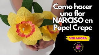 Como hacer una Flor Narciso 🏵️​ en Papel Crepe ✂️​Tutorial para principiantes [upl. by Paik]