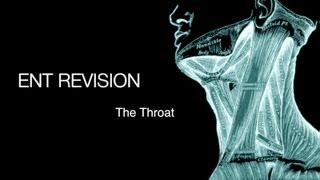 ENT Revision  The Throat [upl. by Uehttam]