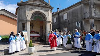 Processione delle Palme 24032024 Simbario VV [upl. by Tresa]