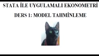 STATA ile UYGULAMALI EKONOMETRİ MODEL TAHMİNLEME [upl. by Comfort]