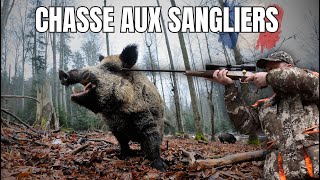 Chasse aux sangliers  Jour de battue 4K [upl. by Horwath944]