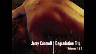 Jerry Cantrell  Psychotic Break [upl. by Elyac601]