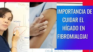 V22CAUSA Y TRATAMIENTO NATURAL para el Hígado inflamado en Fibromialgia [upl. by Yot]