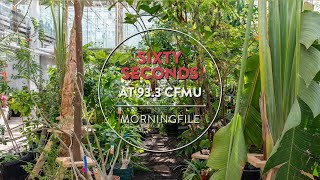 60 Seconds with the McMaster Greenhouse [upl. by Airdni]