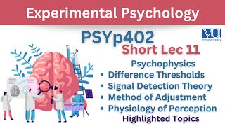 PSYp402 Short Lecture 11PsychophysicsDifference ThresholdMethod of AdjustmentPerceptionPsy402 [upl. by Bekha]