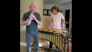 Tetris  Dave Koz and Jake Chapman  Video Game Fun [upl. by Ytnom]