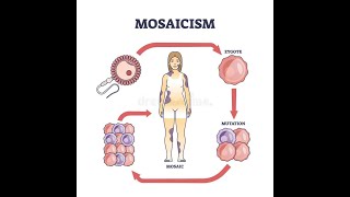 Understanding the concept of chimerism Chimera Mosaicism Natural chimerism [upl. by Brianne]