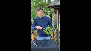 Designing a Japanese cedar Bonsai Cryptomeria shorts plants diy craft [upl. by Micheil]