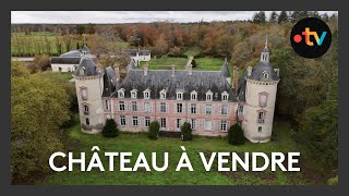 Château recherche acheteur désespérément une belle demeure à plus dun million deuros [upl. by Lawtun277]