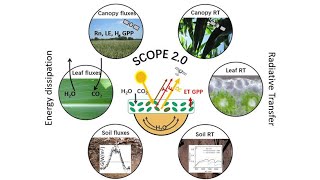 10 SCOPE single leaf biochemical Collatz Van der Tol Magnani [upl. by Amar]