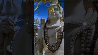 Devotional song shevga shevpuri tamil kanthasastikavasam trending murugan shorts song love [upl. by Kavanaugh]