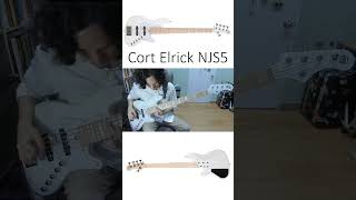 Cort Elrick NJS5  1 Minute Bass Test [upl. by Eniloj945]