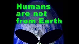 Dr Ellis Silver  Humans are not from Earth english Audiobook [upl. by Macdonald133]