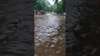 Nungambakkam rainfall rainwater cyclone rain water chennai weather [upl. by Uriisa]