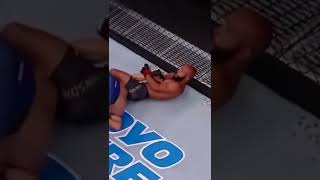 Demetrious Johnsons AMAZING Flying Armbar Against Ray Borg [upl. by Afas]