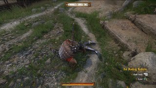 Sir Radzig Kobyla’s Inventory  horse armour  Kingdom Come Deliverance NPC Armour Guide [upl. by Katleen]