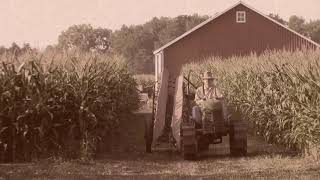 Oliver Crawler Harvests corn with Corn Binder [upl. by Warram]