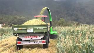 Cosechadora avena  Dia campo Guasca [upl. by Irneh]