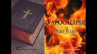 O Apocalipse São Joao Audiobook [upl. by Leay907]