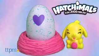 Hatchimals Colleggtibles 2Pack  Nest from Spin Master [upl. by Cumings990]