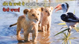 Simba returni the lion king movie hindi explain [upl. by Anirad740]