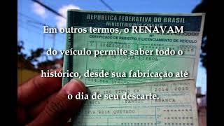 Consultar Documento Pelo RENAVAM ou Placa DETRAN [upl. by Oisacin]