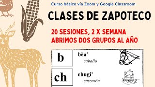 CLASES DE ZAPOTECO [upl. by Nottus]