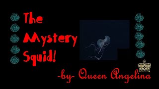 THE MYSTERY SQUID SONG [upl. by Iem]