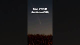 Comet C2023 A3 Tsuchinshan–ATLAS October 15 2024 shorts comet [upl. by Salakcin]