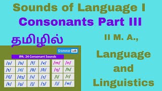 Sounds of Language  Consonants III Explanation in Tamil Affricates Approximants Transcriptions [upl. by Ilegna19]