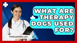 What Are Therapy Dogs Used For  PetGuide360com [upl. by Grubman]